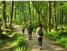 自然リトリート「ハチ北のもののけ森」