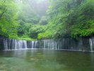 白糸の滝(車で約15分)