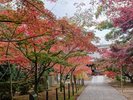 光明寺2