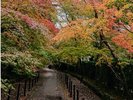 光明寺3