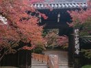 光明寺1