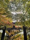 大原野神社2