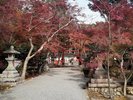 大原野神社4