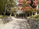 大原野神社3