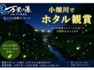 ホタルちらし