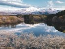 にかほは秋田県で一番早く桜が咲くスポットで、4月下旬には国道に「桜渋滞」ができるほどです!
