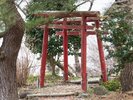 京都・伏見から来たお稲荷さんがあります。