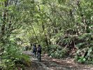 【世界自然エリア】奇跡の森やんばるでサイクリングツアー