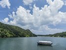 【世界自然エリア】奇跡の森やんばるで自然観察船
