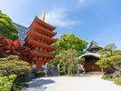 【当館から徒歩で約8分】東長寺