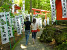 パワースポットとしても有名な「九頭龍神社」