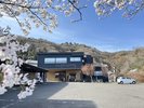 桜色に染まる花見の宿
