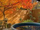 ■紅葉の時期は赤色に染まる露天風呂