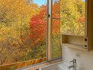 ■窓からは紅葉の景色が見られます※一部の客室では見られません