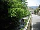 藤木川。京都の貴船に似た雰囲気で、とても風情があり癒されます。