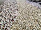 4階 南側に枯山水をイメージしたバルコニー