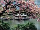 浜離宮恩賜庭園