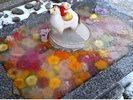【冬の庄内神社】氷に沈む手花水は、冬限定の美しさです。