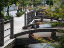 にきたつの道