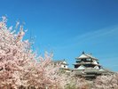 松山城