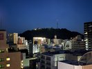 松山城側夜景@