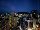 松山城側夜景A