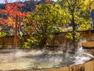 箱根の美しい景色と湯に至福のお時間をお過ごしください
