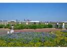 さくらの山公園(車で約5分)飛行機が驚くほど間近で見れる千葉でも有名な公園です