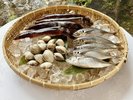 九十九里のホンビノス貝を浜焼きで