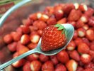 紅ほっぺいちご ソルベに贅沢にたっぷり使います。