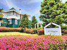 5月の末から6月上旬、さつきが開花します。