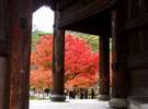 京都は見どころいっぱい!秋の風に吹かれて、色鮮やかな景色を満喫♪