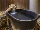「たぬき風呂」は、可愛らしいたぬきの湯口から流れる温泉が特徴。誰にも気兼ねせず、癒しの時間を楽しめる