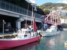 伊豆山港 第十喜久丸初心者さんから上級者さんまでが楽しんでいただける舟宿です。