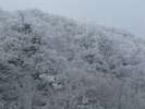 冬の福地山。玄関前より