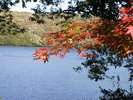 【秋】一碧湖の紅葉