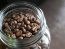 スペシャルティコーヒー専門店「Terra Coffee Roasters」が厳選して焙煎したテロワールを感じる極上の1杯