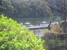 【一碧湖】当館から車で約15分。10万年前の噴火で誕生した火口湖。湖畔には素敵なカフェもあります