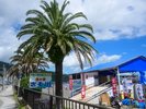 【伊東オレンジビーチ】海の家が並びます。着替えや食事など快適に過ごすことができます
