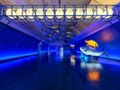 「うみのトンネル」宿泊棟間を結ぶ約90メートルのコリドーが海の世界が広がる回遊空間としてリニューアル