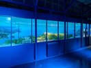 「うみのトンネル」浦島の全景模型。東京ドーム4.5個分に及ぶ広大な敷地に全4館が配置されております