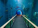 琵琶湖博物館までは、車で約40分