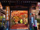 湖南三山 長寿寺までは、車で約15分