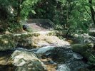 万葉公園 湯河原惣湯(惣湯テラス)