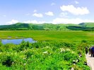 八島湿原