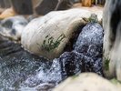 【大浴場】「殿の湯」露天風呂:温泉湯口