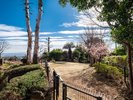 【屋外ドッグラン】全景