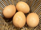 *赤穂の源(当館の朝食で使われる卵は兵庫のブランド卵)
