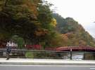 神橋の紅葉