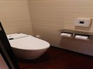���g�C��_�q�����j�b�g�o�X�C���[�W���